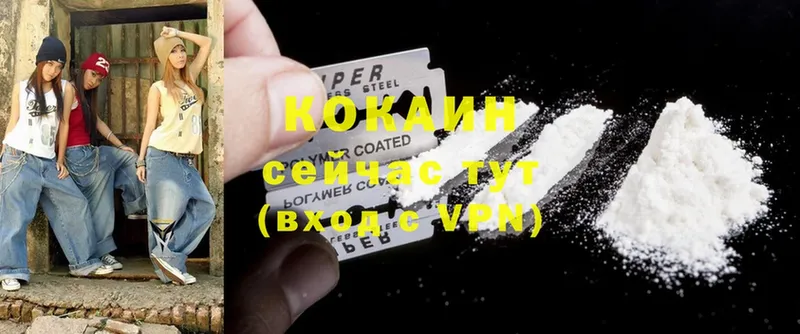 MEGA рабочий сайт  Белорецк  Cocaine Fish Scale 