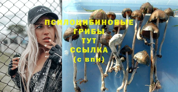 каннабис Балахна